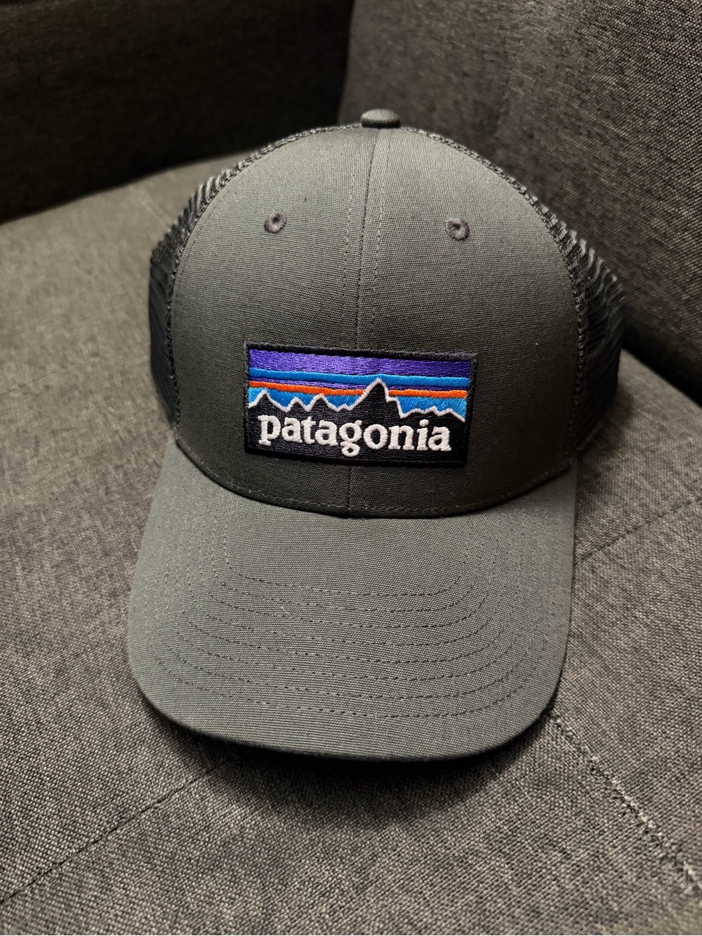 Patagonia Men’s P-6 Logo LoPro Trucker Hat